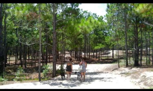 Camping Novas Palmeiras Florianópolis Eksteriør bilde