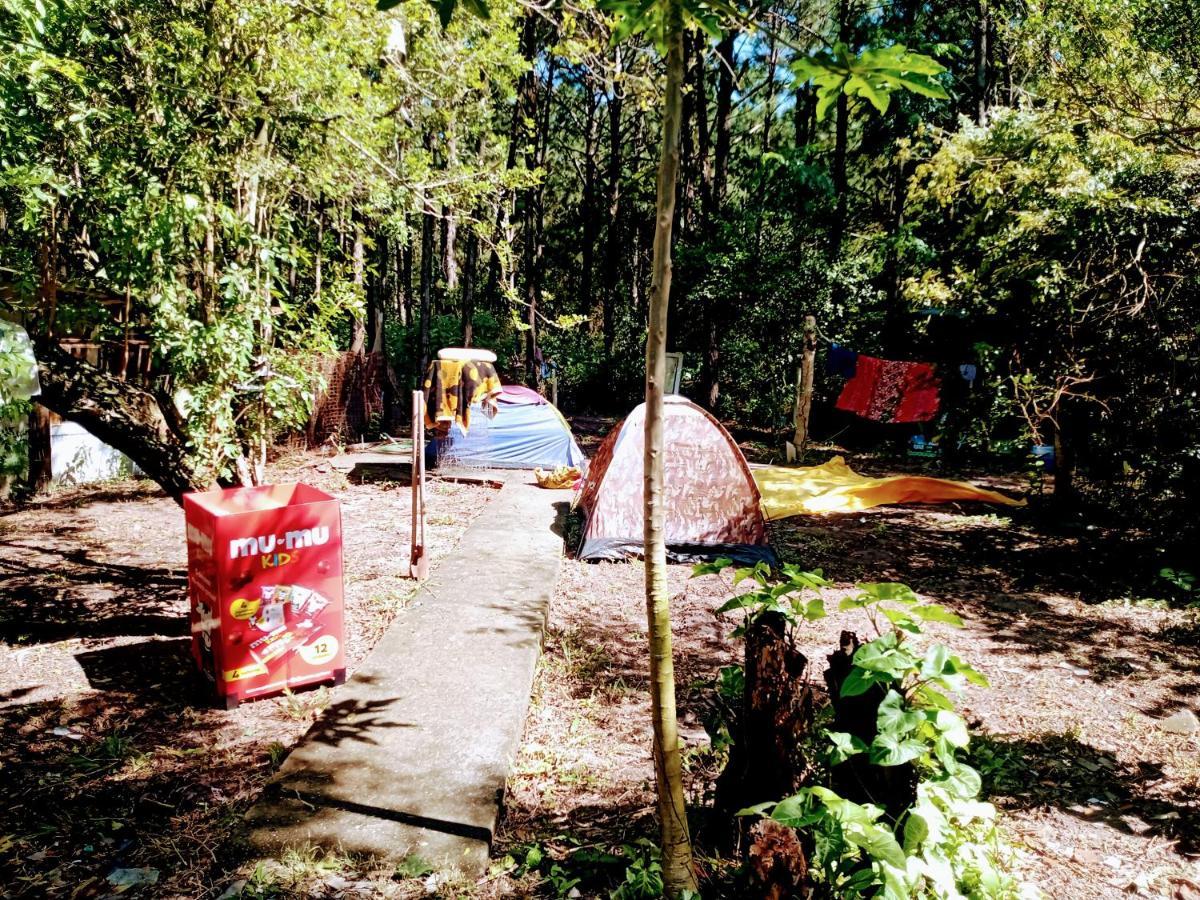 Camping Novas Palmeiras Florianópolis Eksteriør bilde